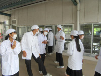 pict-IMG_4712
