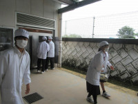 pict-IMG_4713