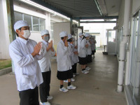 pict-IMG_4714