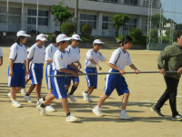 pict-IMG_2903