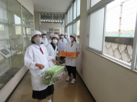 pict-IMG_3073