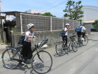 pict-IMG_3194