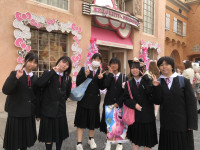 28FB40C665083E2B21DDE6B9C6333BFC83308FBF