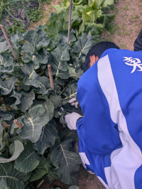 PXL_20260126_233437714