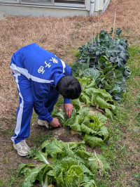 PXL_20260209_234130949.MP