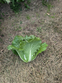 PXL_20260126_233647343