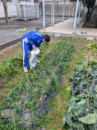 PXL_20260209_235359116.MP